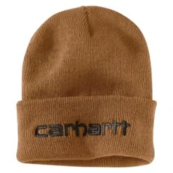 Men's Carhartt Teller Hat